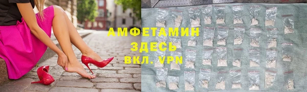 мдпв Верея