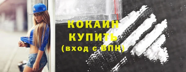 соль ск Бородино